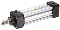 Parker Pneumatic Profile Cylinder P1D-S032MS-0050 - Parker Store Nigeria